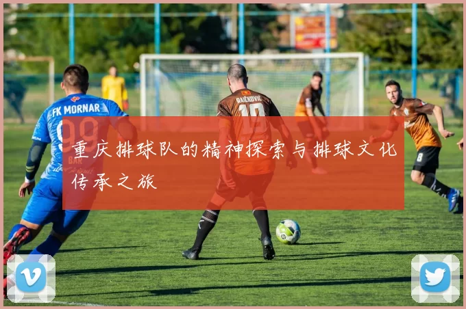 重庆排球队的精神探索与排球文化传承之旅