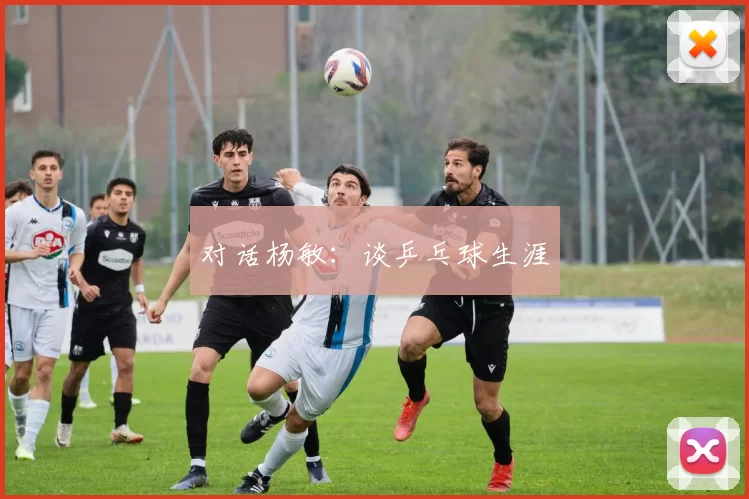 对话杨敏：谈乒乓球生涯