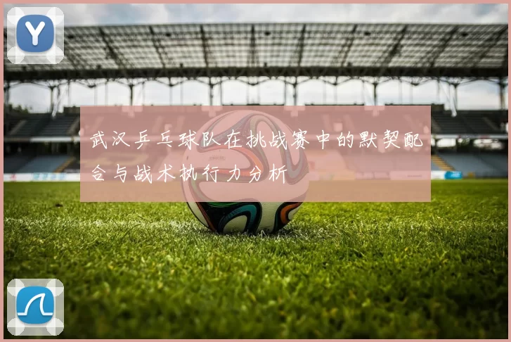 武汉乒乓球队在挑战赛中的默契配合与战术执行力分析