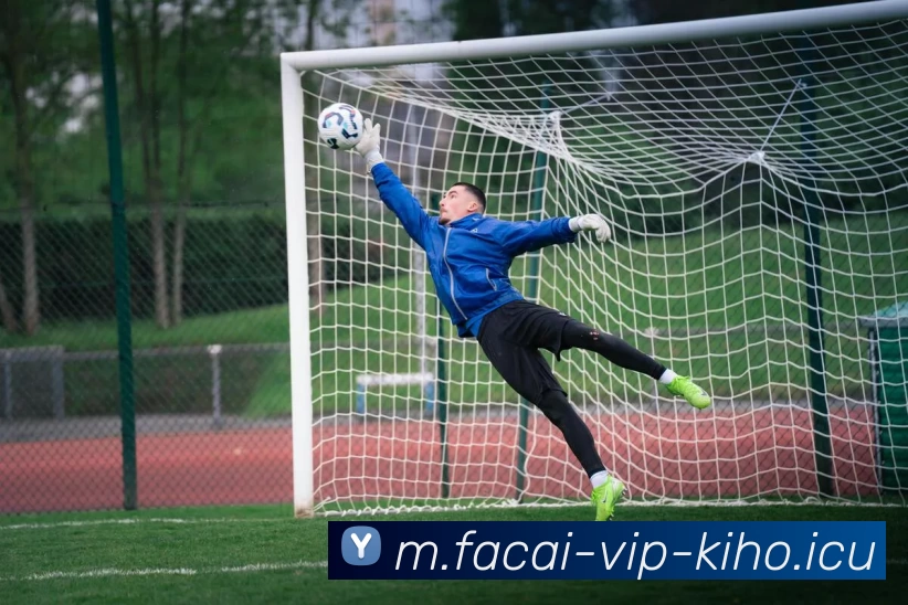 米兰体育注册平台生态图